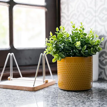 Hostel Magnolia Aveiro