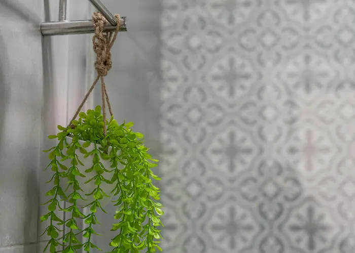 Magnolia אכסניה אבאירו